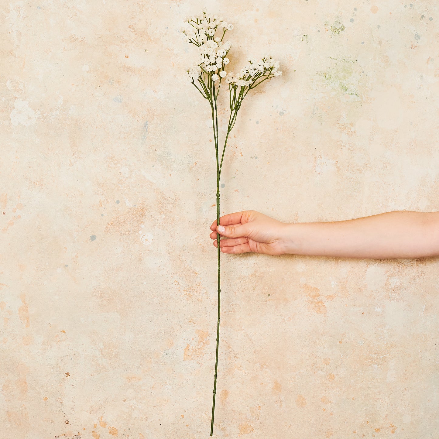 Babys Breath Real Touch