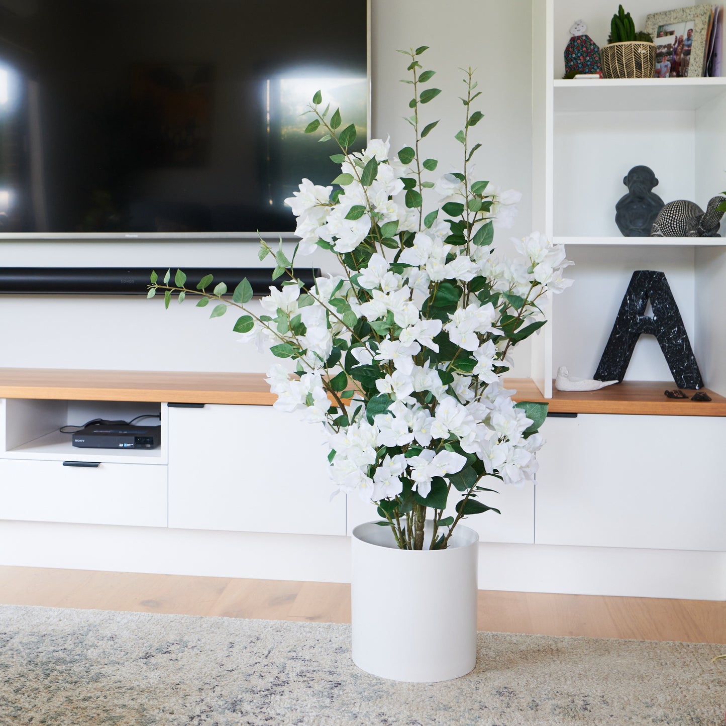 Vera Bougainvillea Plant with Pot