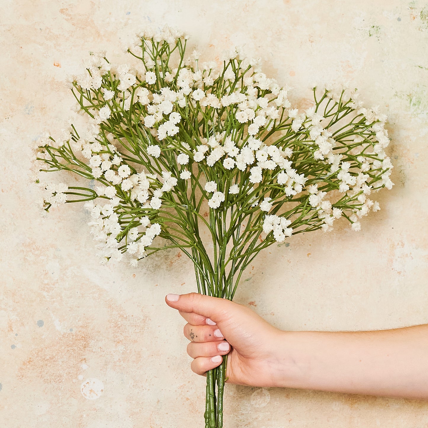 Babys Breath Real Touch