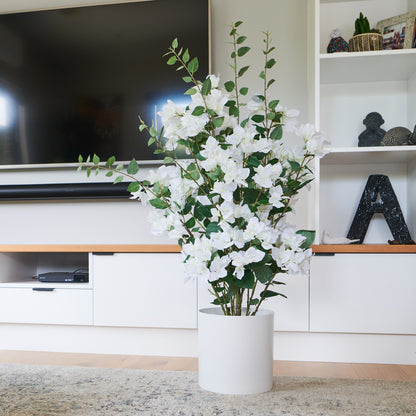 Vera Bougainvillea Plant with Pot