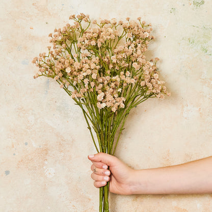 Babys Breath Real Touch