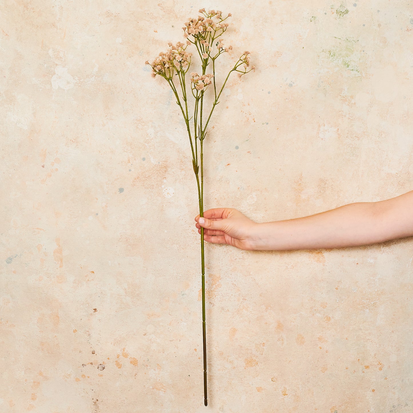 Babys Breath Real Touch