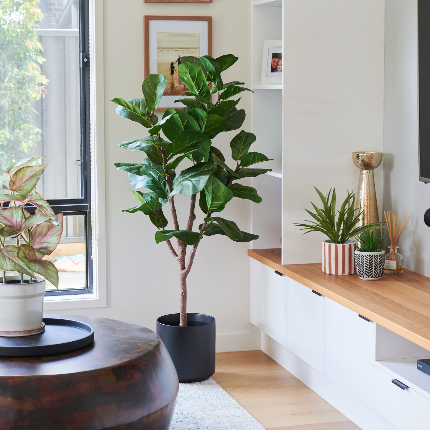 Easton Fiddle Leaf Tree with Pot