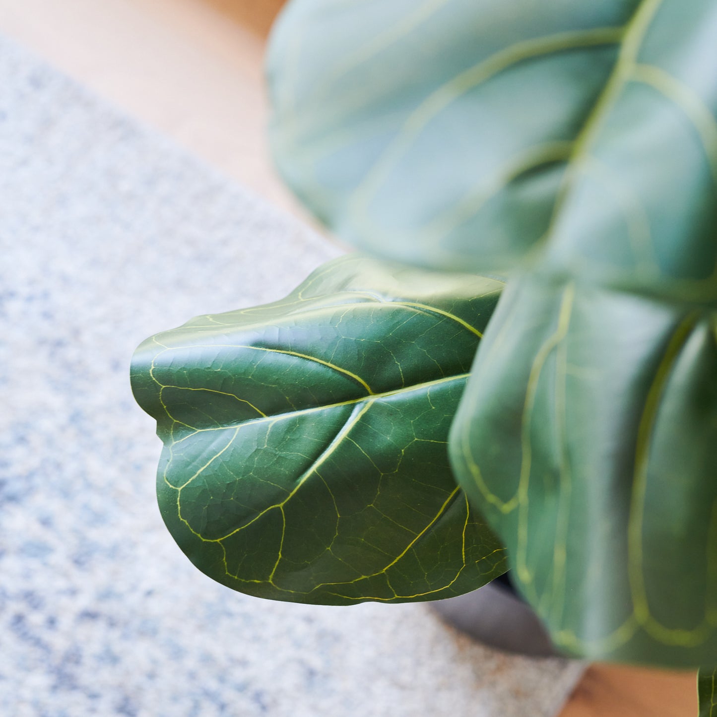 Easton Fiddle Leaf Tree with Pot