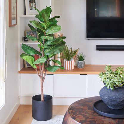 Easton Fiddle Leaf Tree with Pot