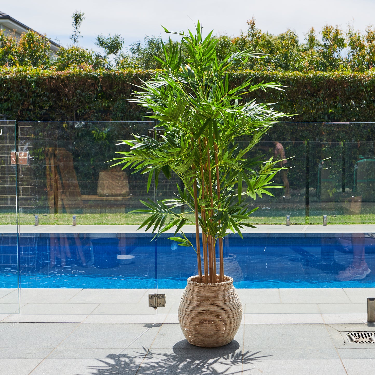 Sloane Bamboo Tree with Wicker Pot