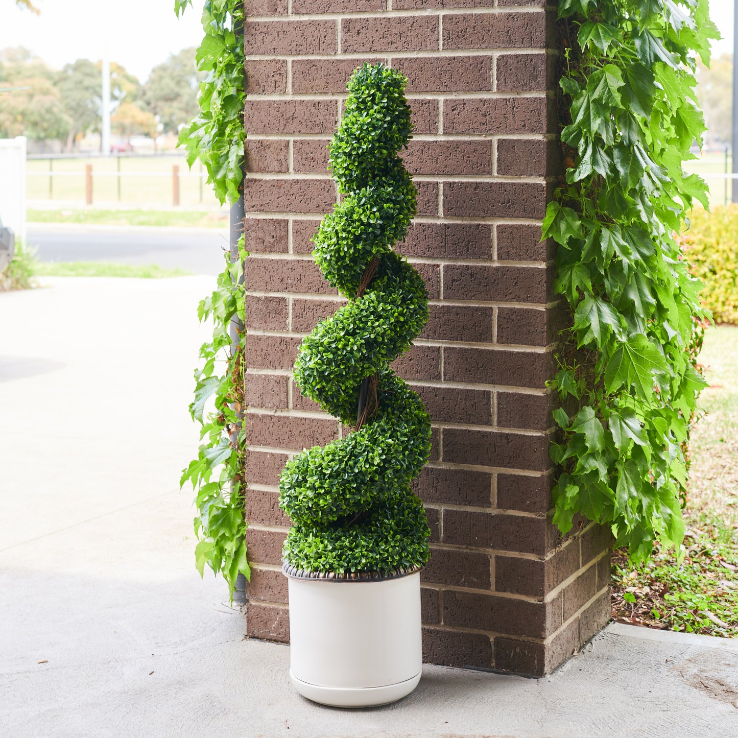 UV Resistant Boxwood Spiral Potted Plant