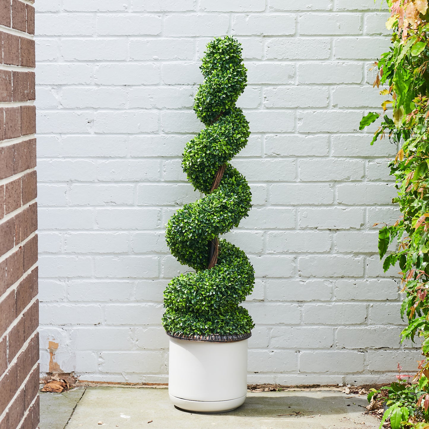 UV Resistant Boxwood Spiral Potted Plant