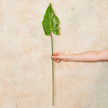 Calla Lily Leaf Real Touch Stem