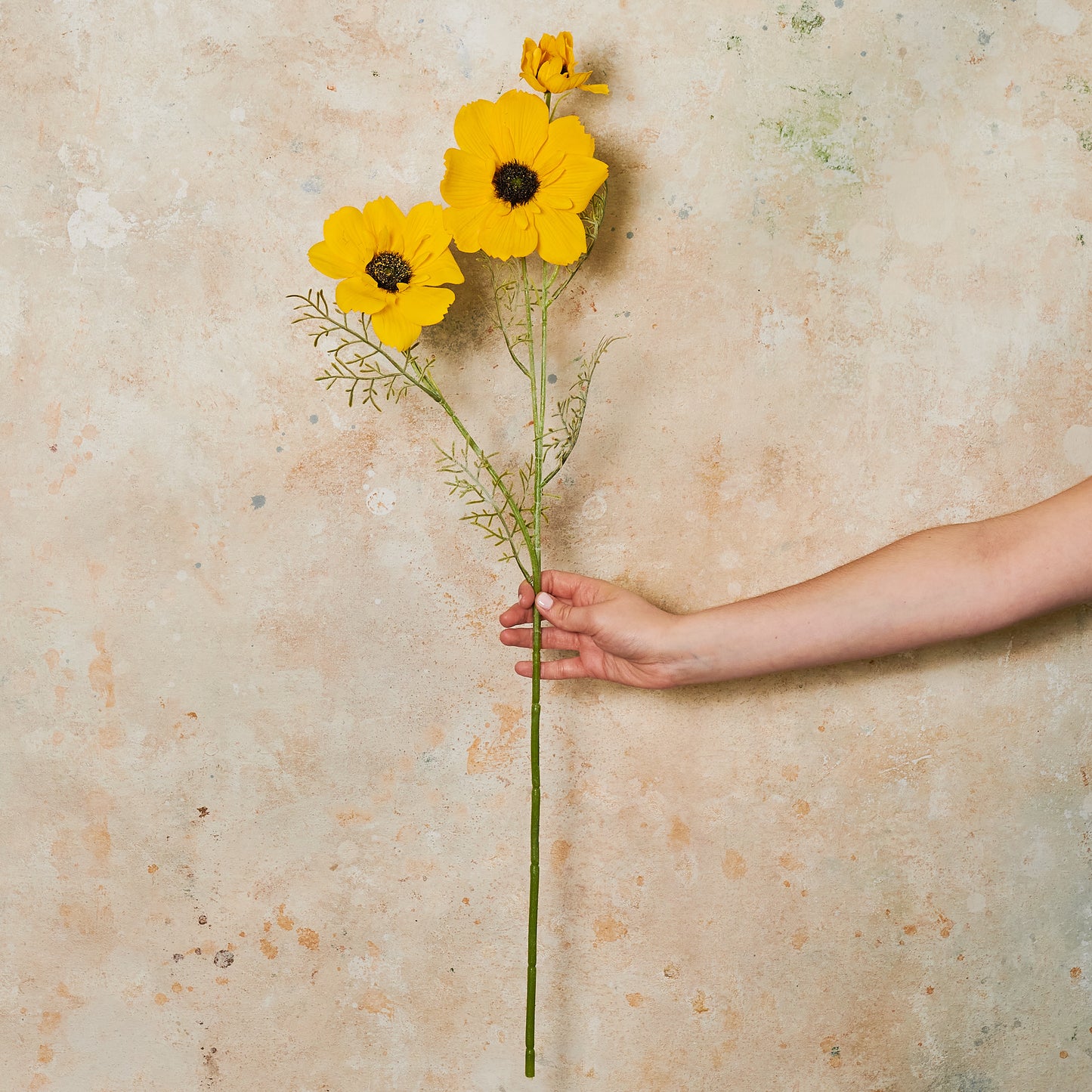 Coreopsis Real Touch Flower Stem