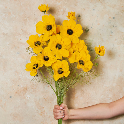 Coreopsis Real Touch Flower Stem