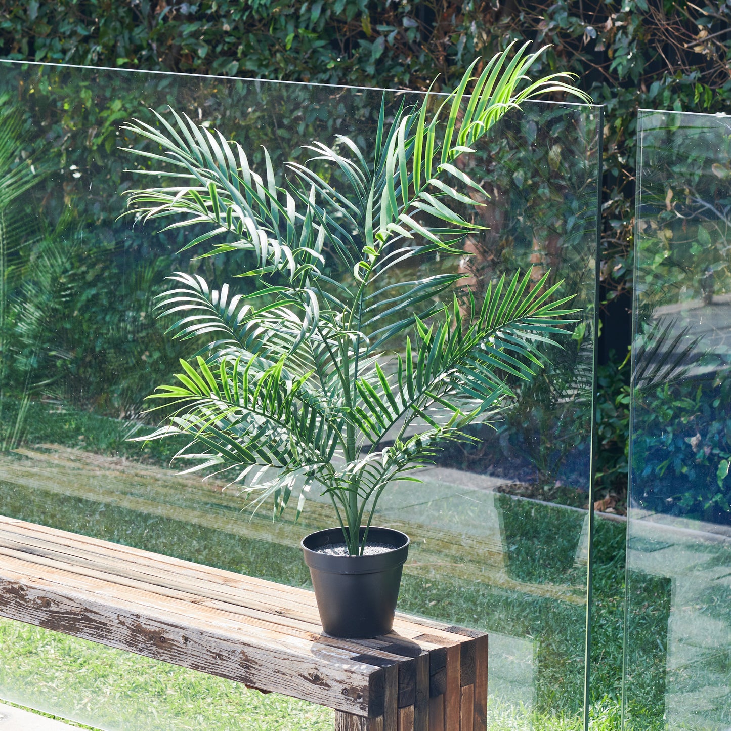 UV Resistant Areca Palm Tree