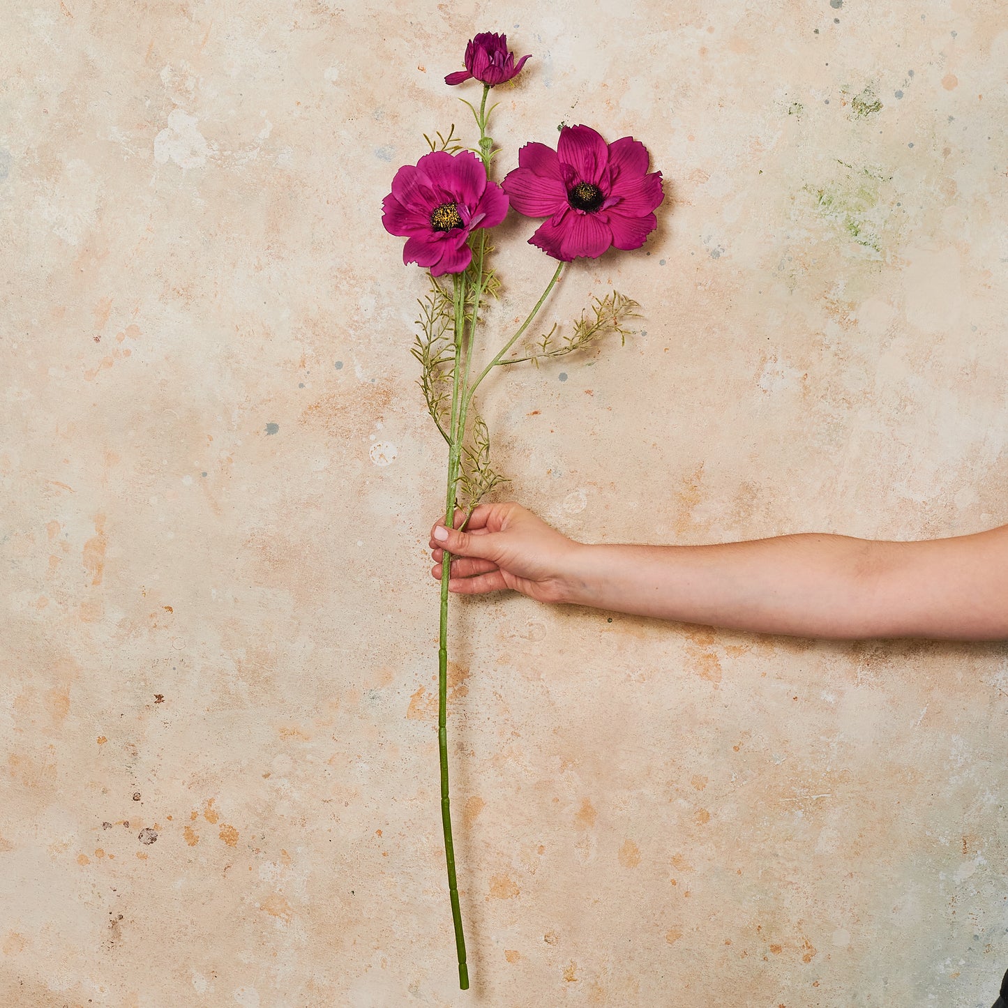 Coreopsis Real Touch Flower Stem