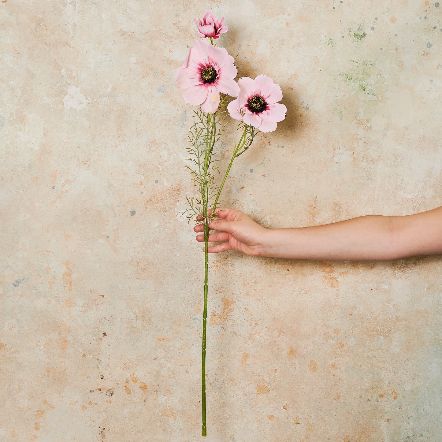 Coreopsis Real Touch Flower Stem