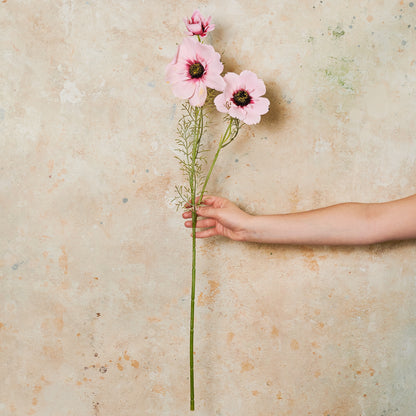 Coreopsis Real Touch Flower Stem