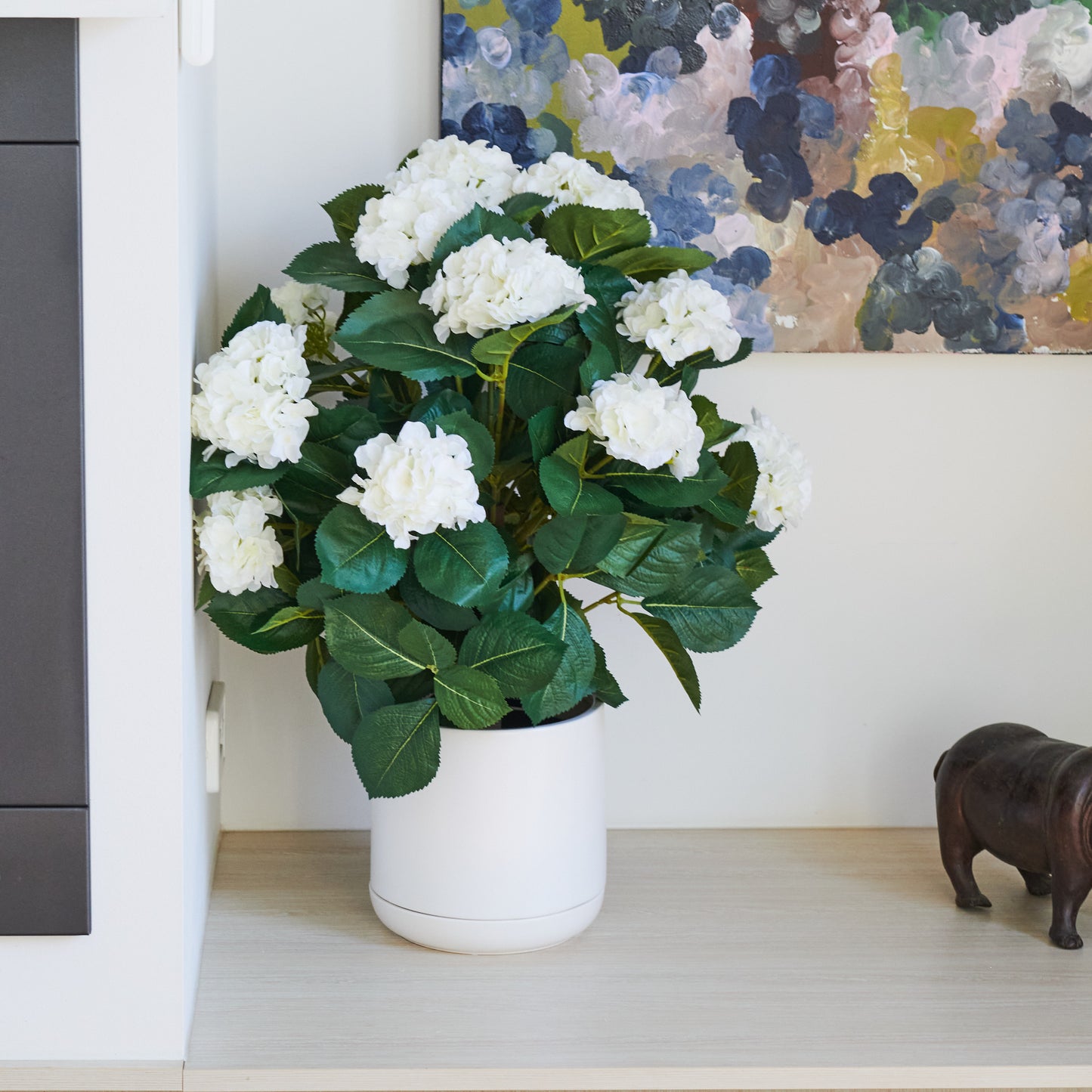 Beatrice Hydrangea Plant with Pot