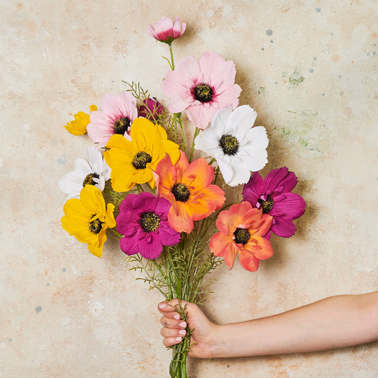 Coreopsis Real Touch Flower Stem