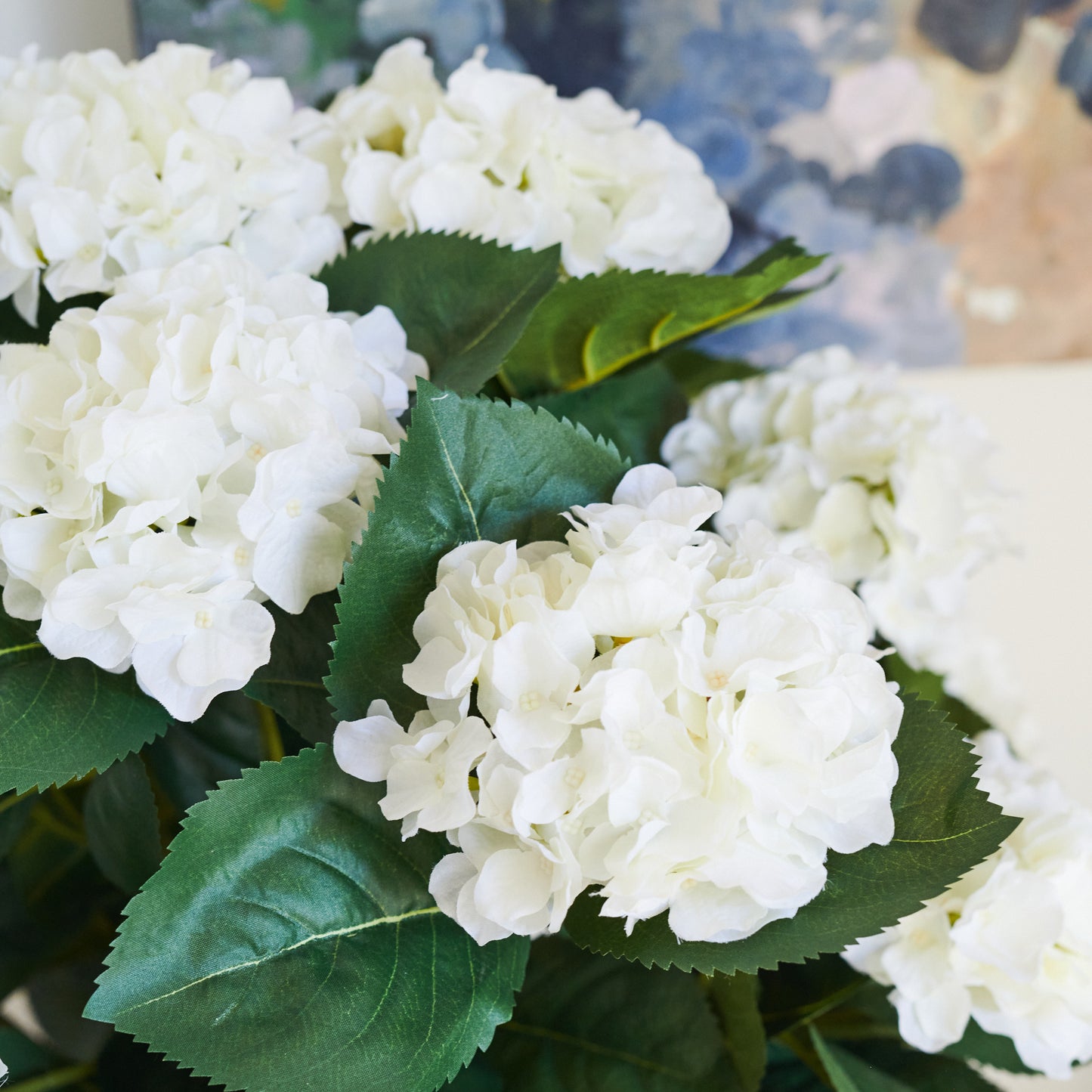 Beatrice Hydrangea Plant with Pot