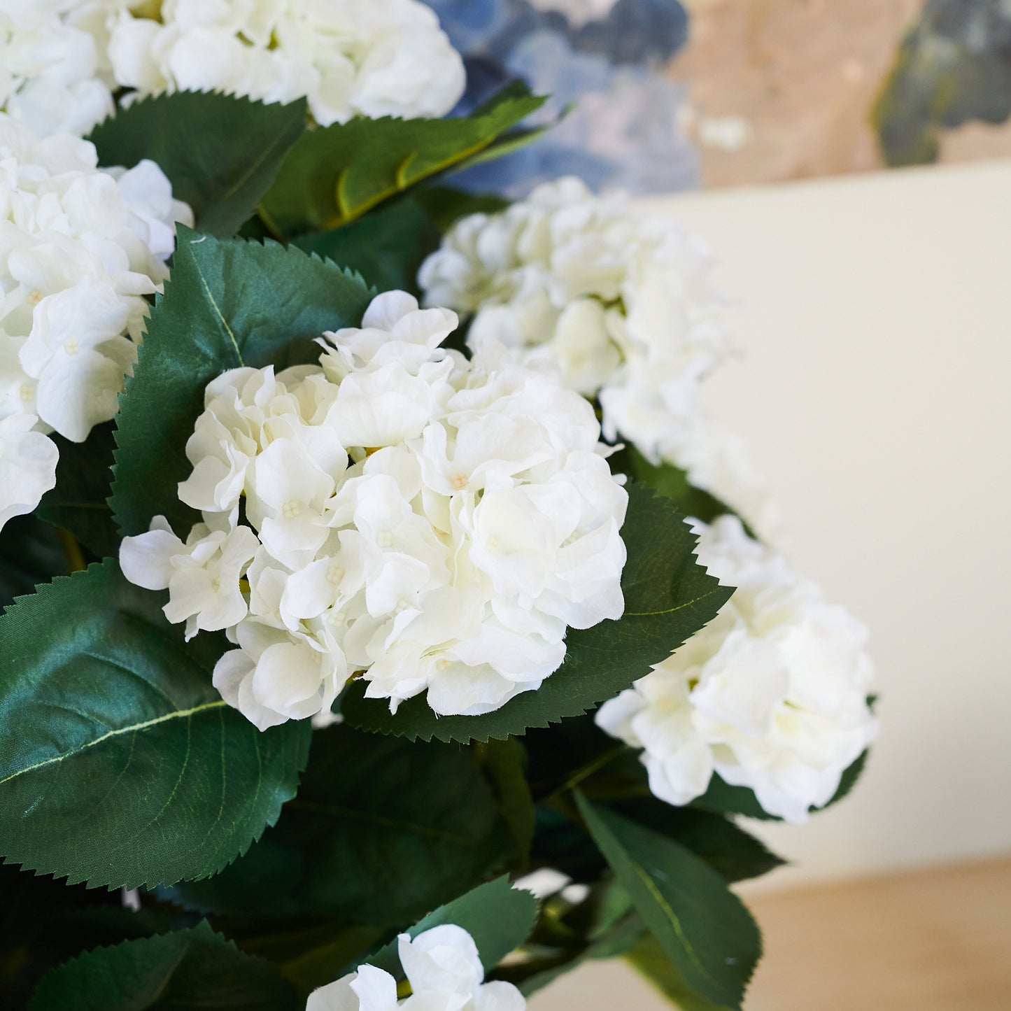 Beatrice Hydrangea Plant with Pot