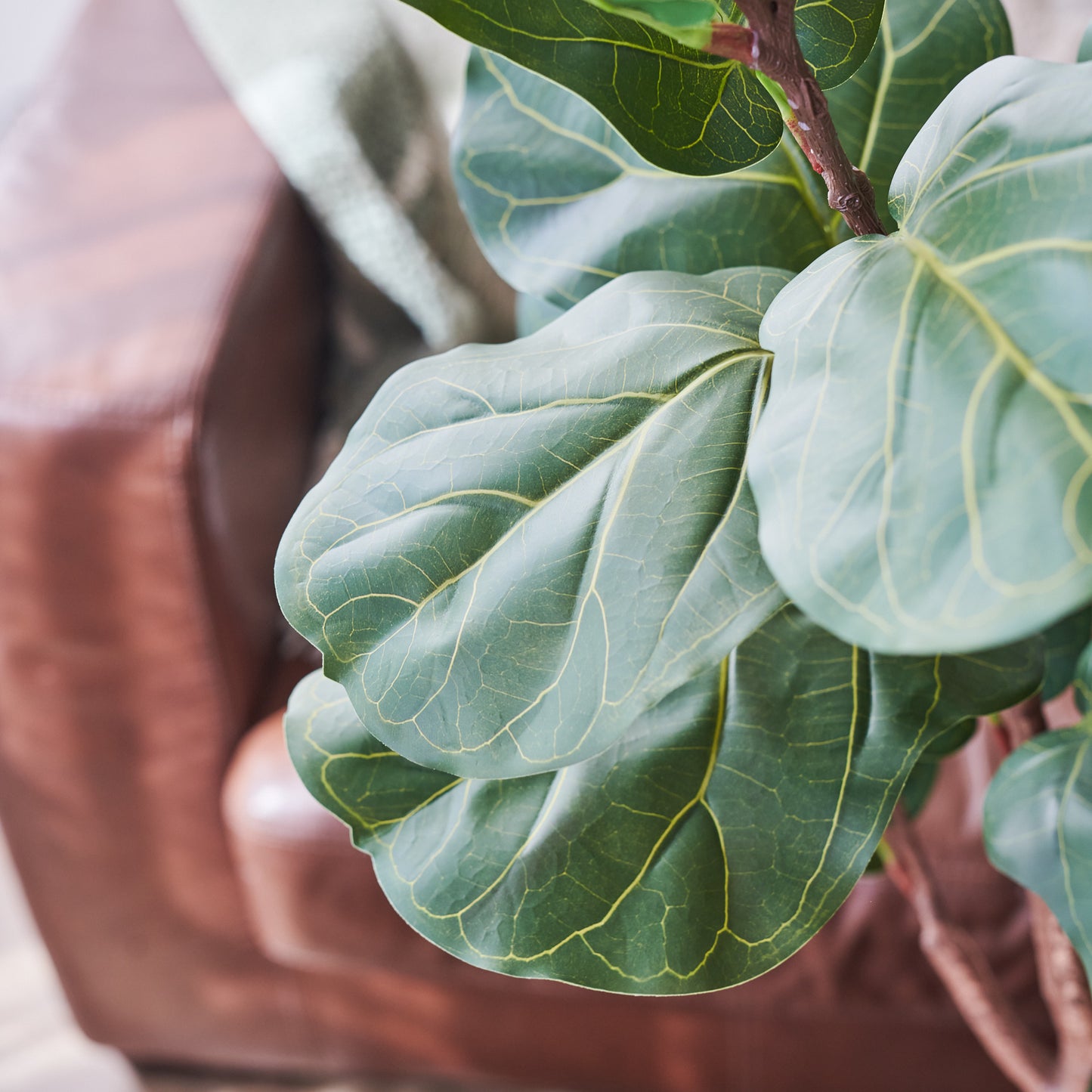 Easton Fiddle Leaf Tree with Pot