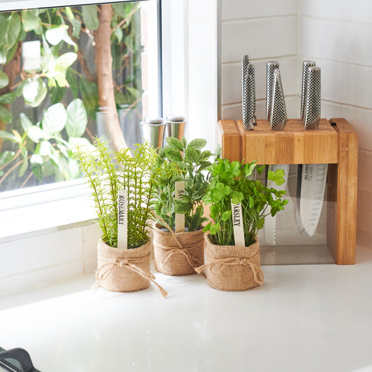 Kitchen Herb Bundle in Burlap