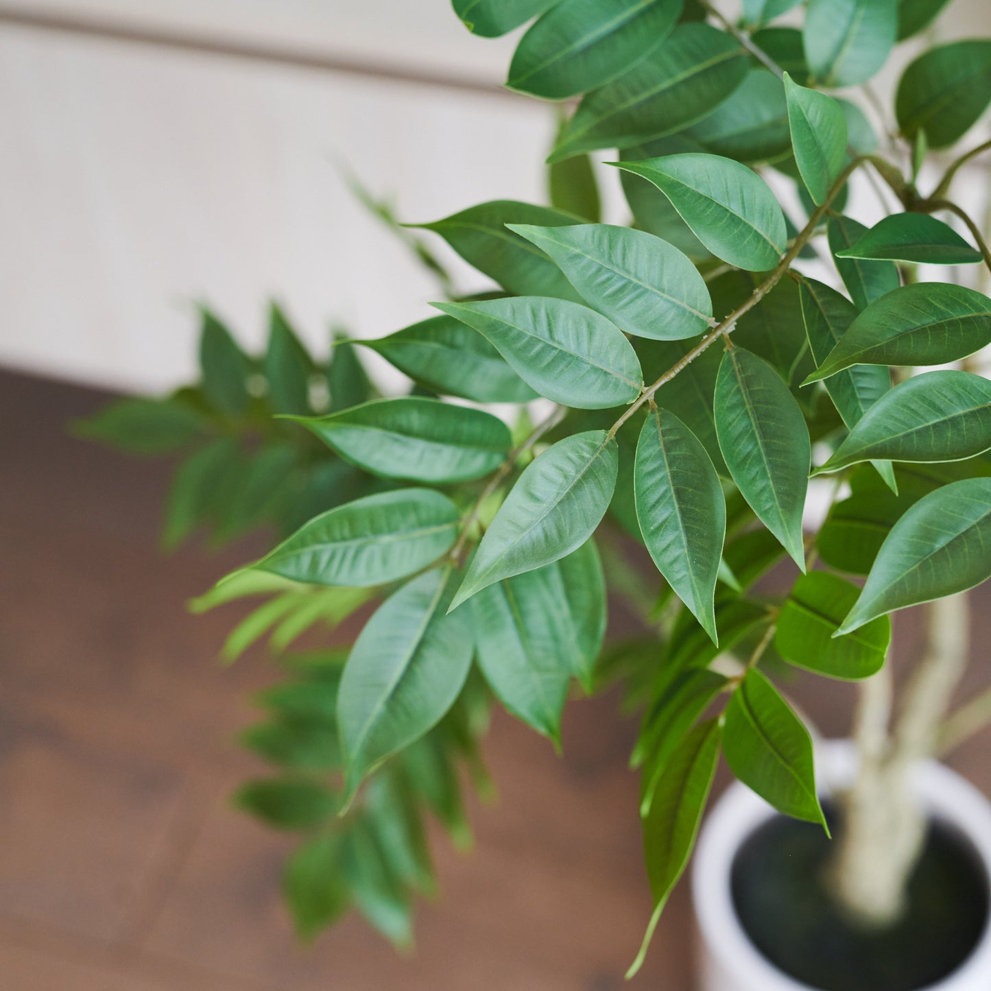 Akari Lacquer Tree with Pot