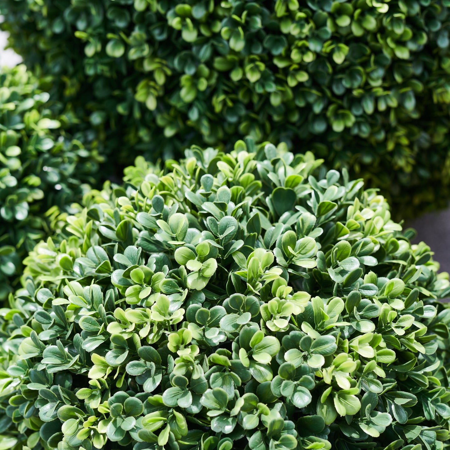 UV Resistant Boxwood Topiary Ball Plant