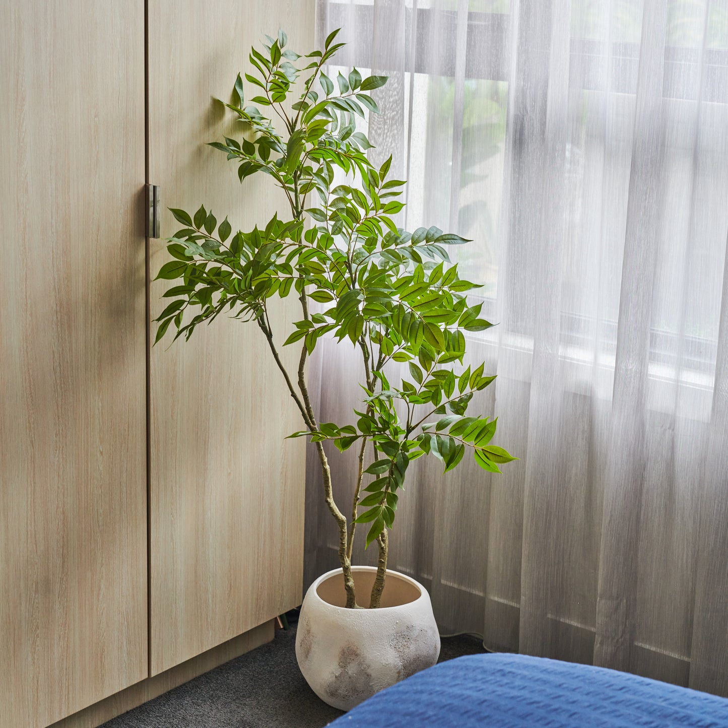 Akari Lacquer Tree with Pot