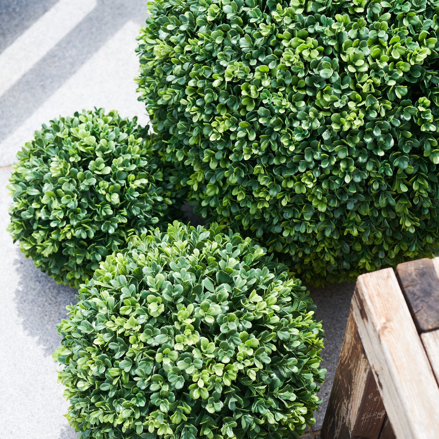 UV Resistant Boxwood Topiary Ball Plant