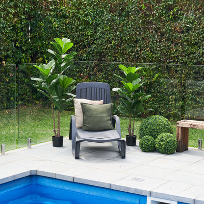 UV Resistant Fiddle Tree