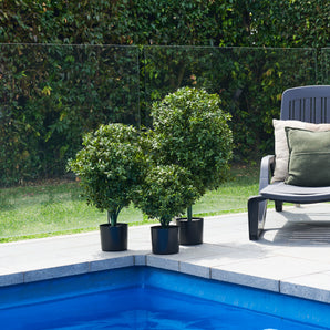 UV Resistant Hazel Topiary Plant