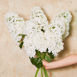 Cone Hydrangea Real Touch Flower Stem