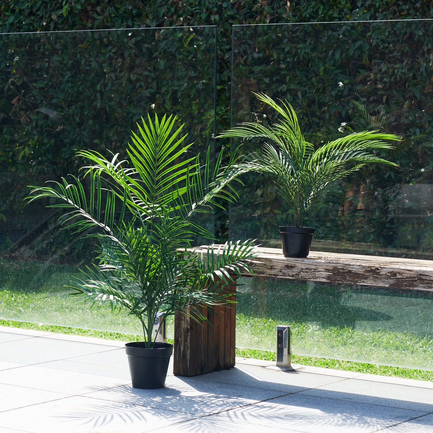 UV Resistant Areca Palm Tree