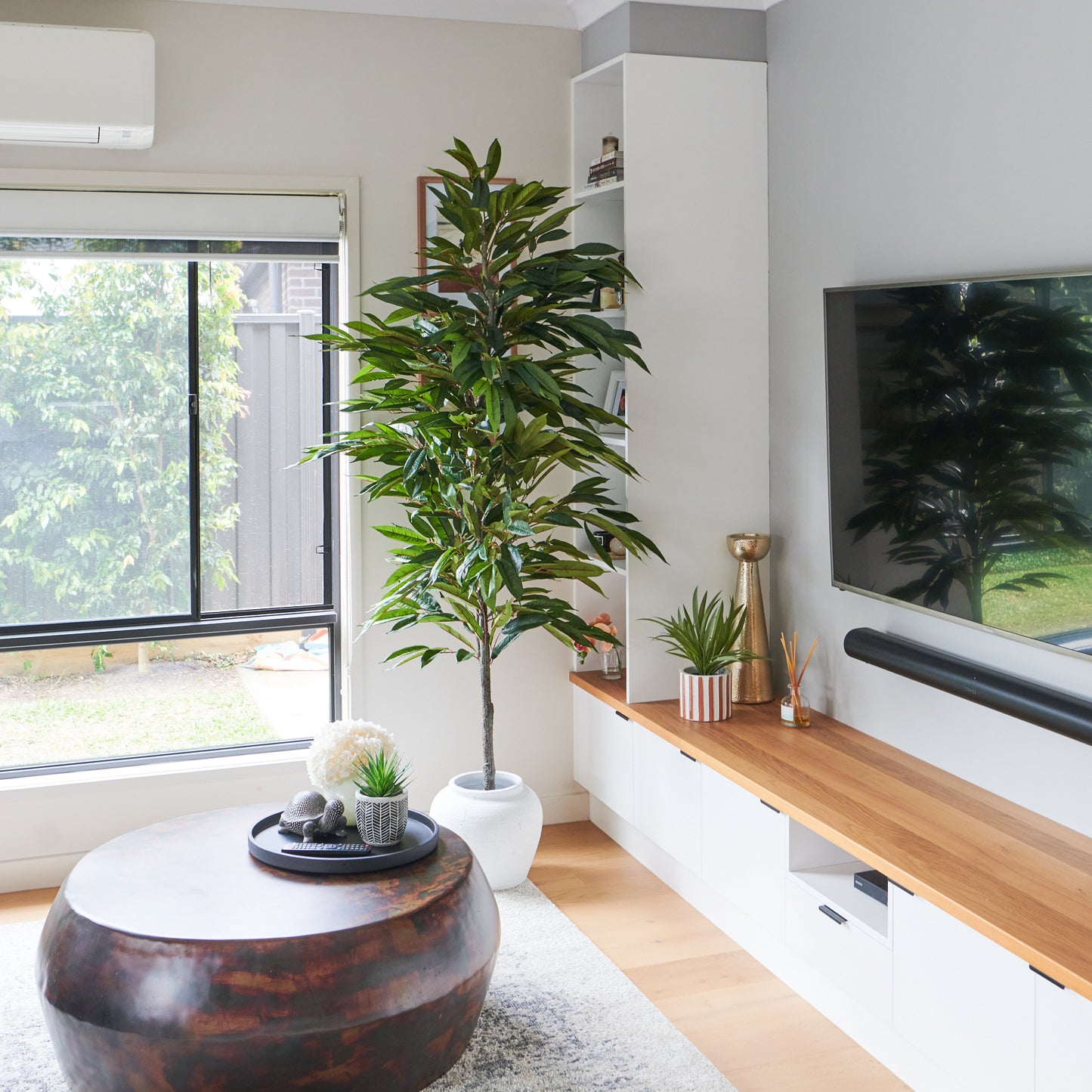 Lincoln Ficus Tree with Ceramic Pot