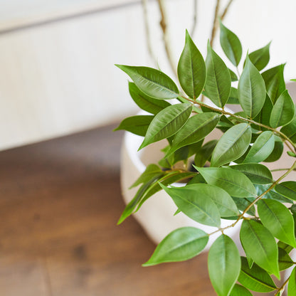 Akari Lacquer Tree with Pot