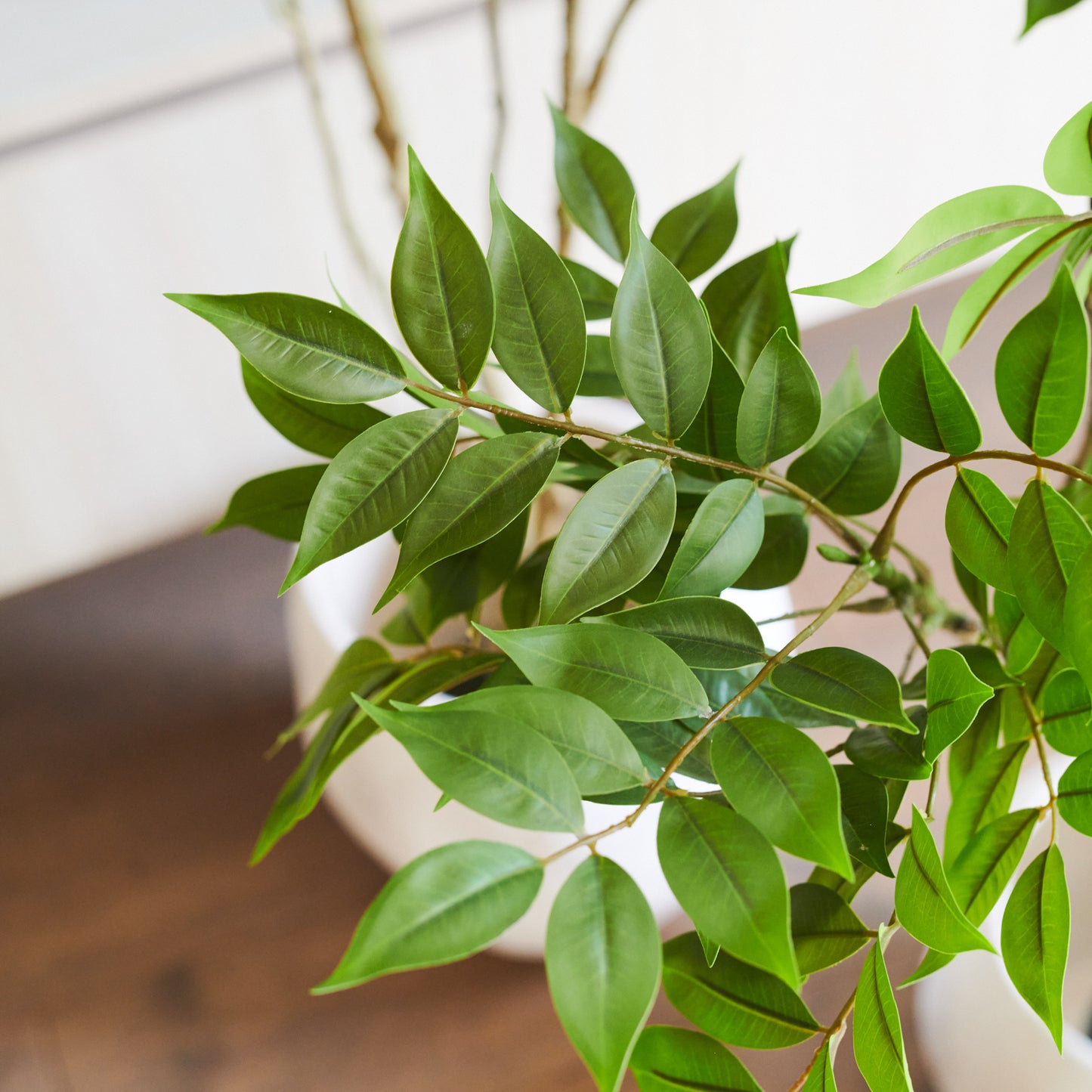 Akari Lacquer Tree with Pot