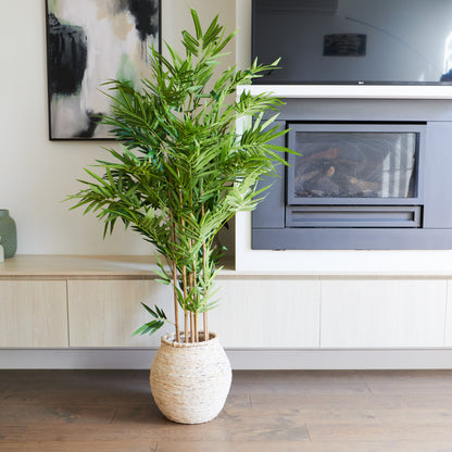 Sloane Bamboo Tree with Wicker Pot