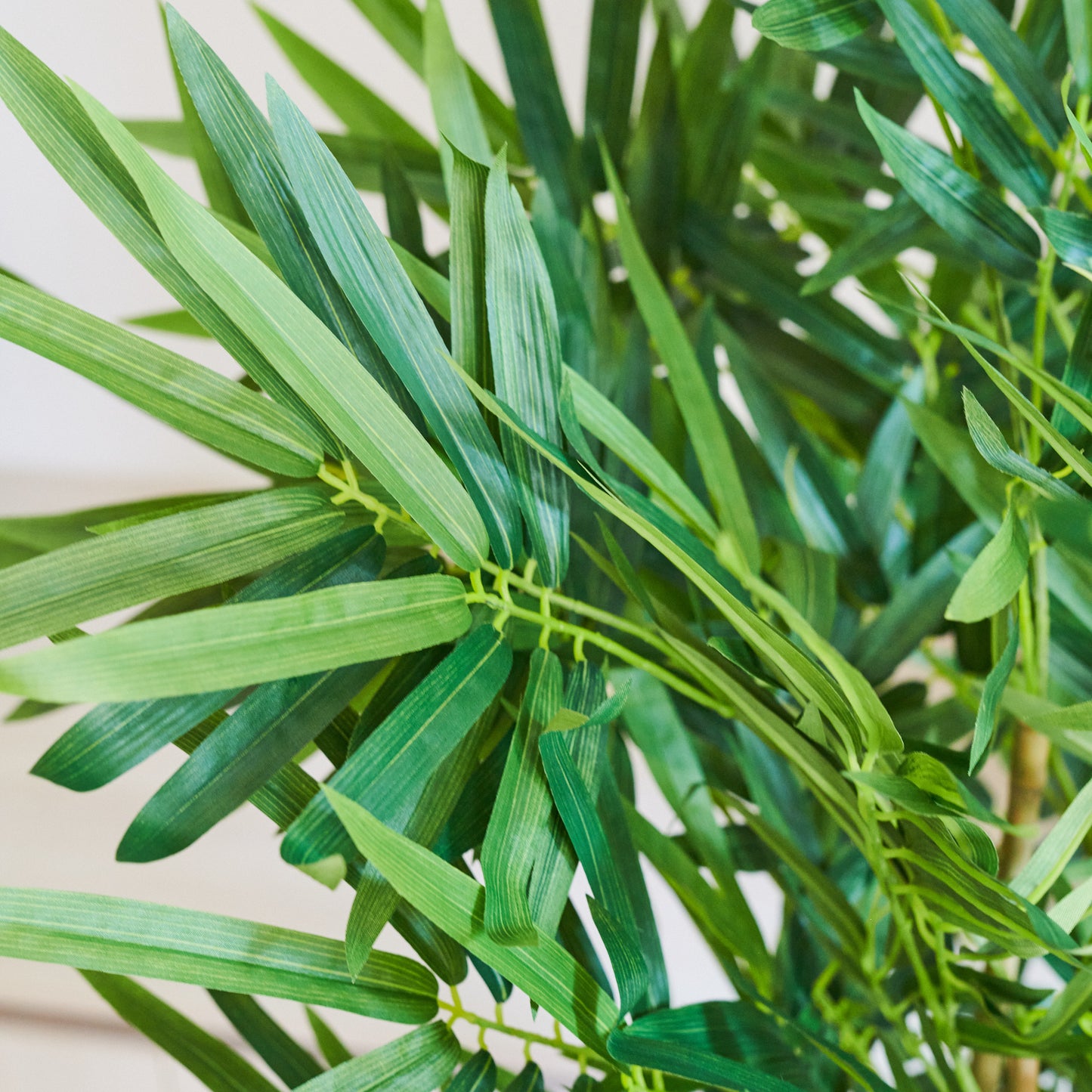 Sloane Bamboo Tree with Wicker Pot