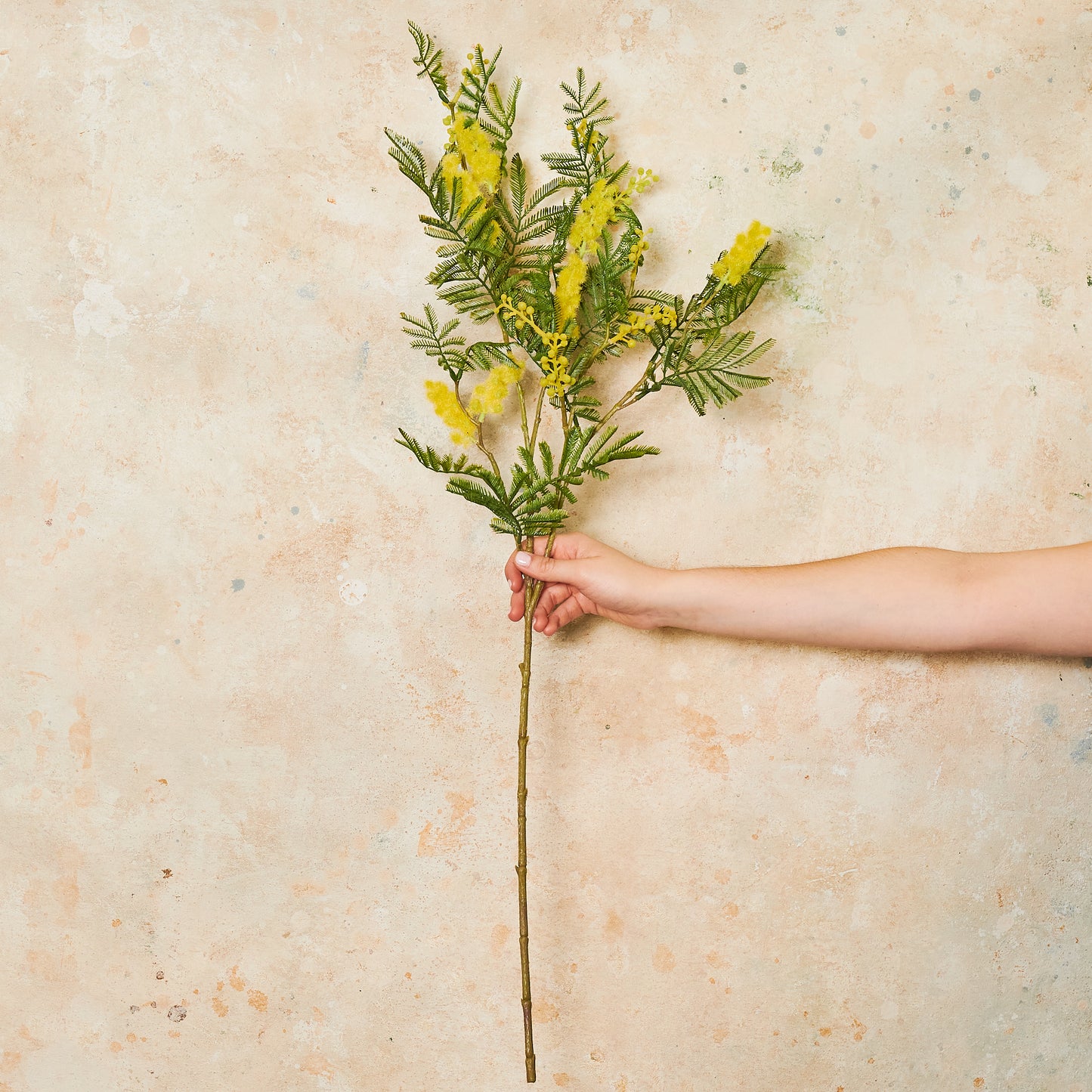 Wattle Mimosa Real Touch Flower Stem