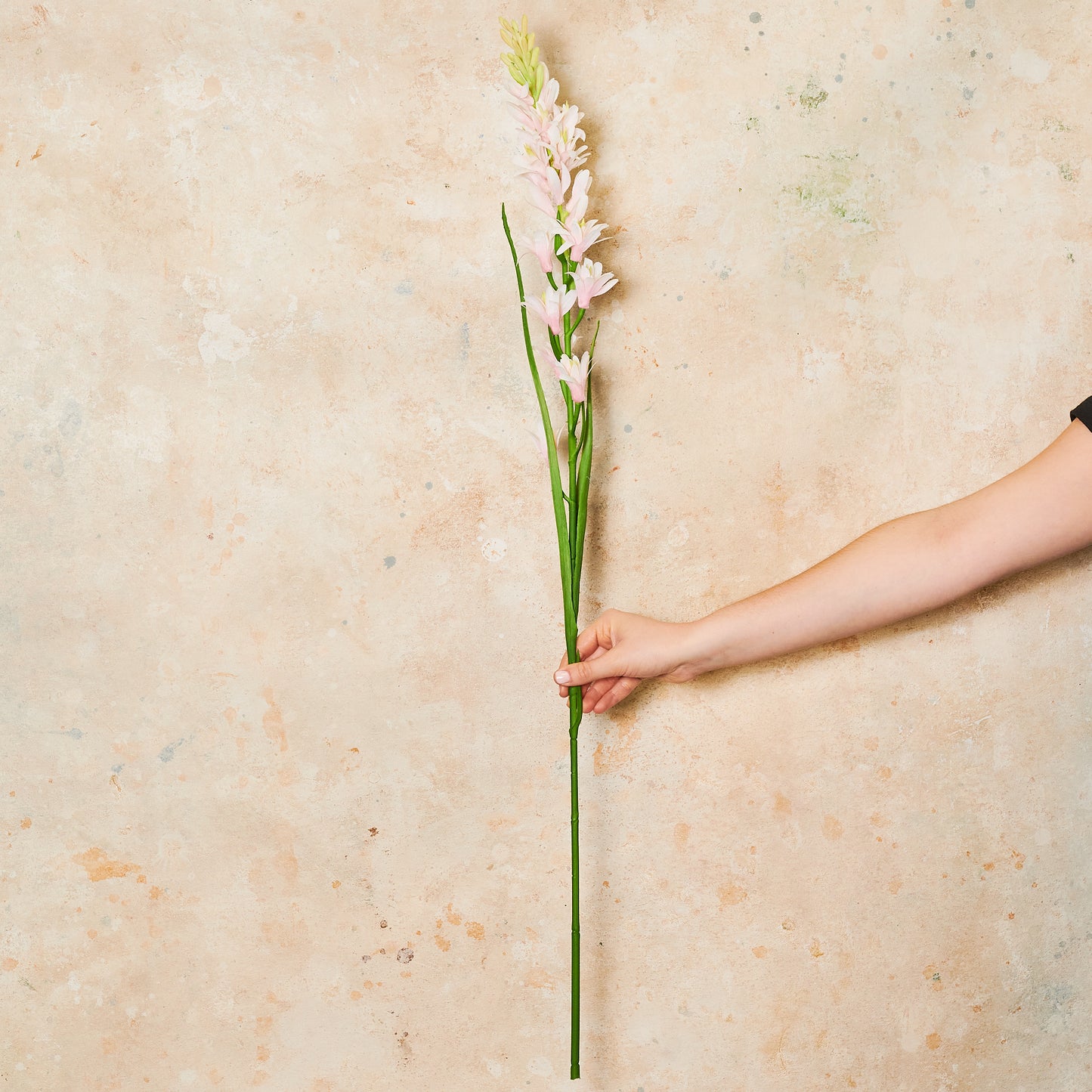 Tuberose Real Touch Flower Stem