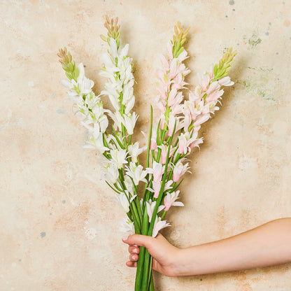 Tuberose Real Touch Flower Stem