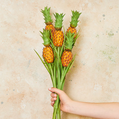 Pineapple Fruit Stem