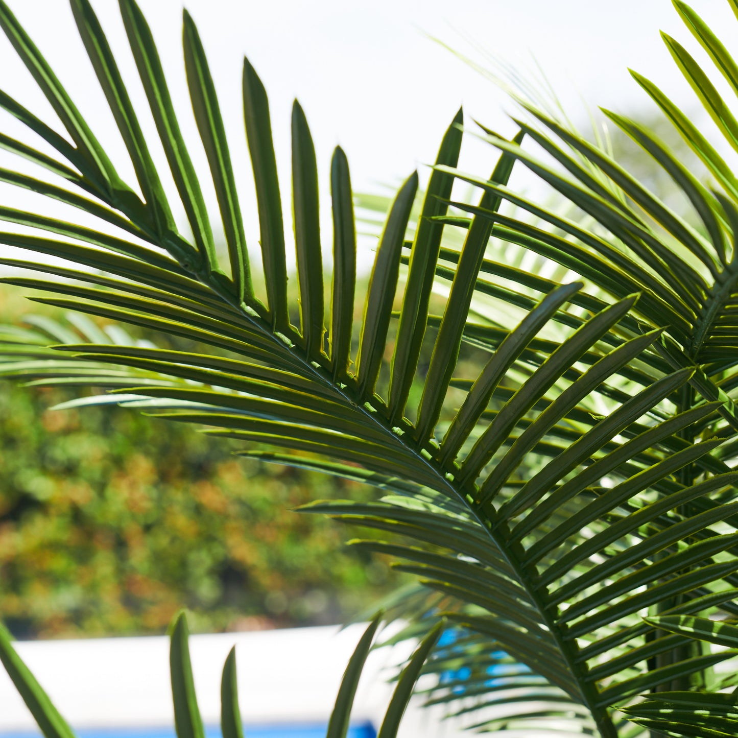 UV Resistant Areca Palm Tree