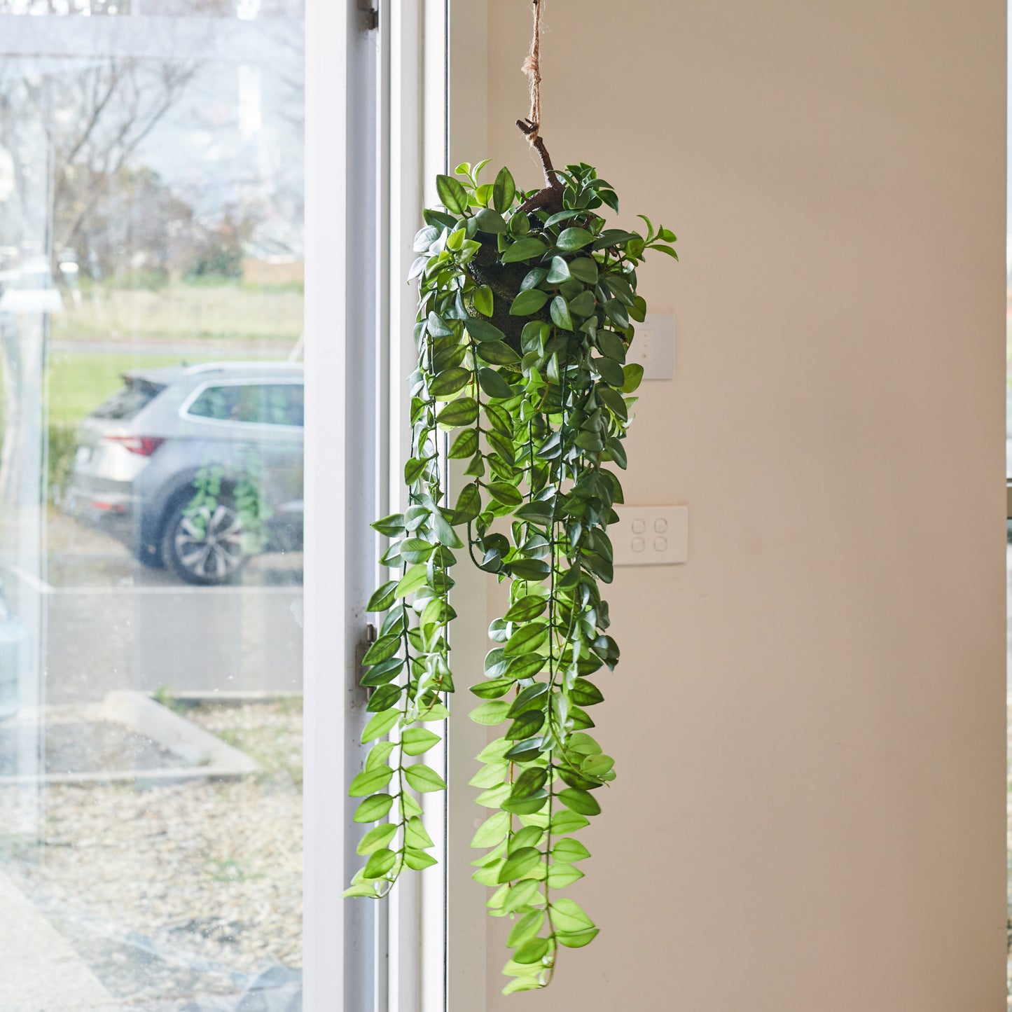 Darcy Hanging Ball Plant