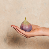 Fig Artificial Fruit