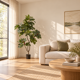 Fig Real Touch Artificial Tree
