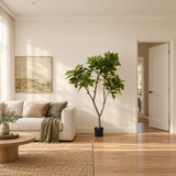 Fig Real Touch Artificial Tree