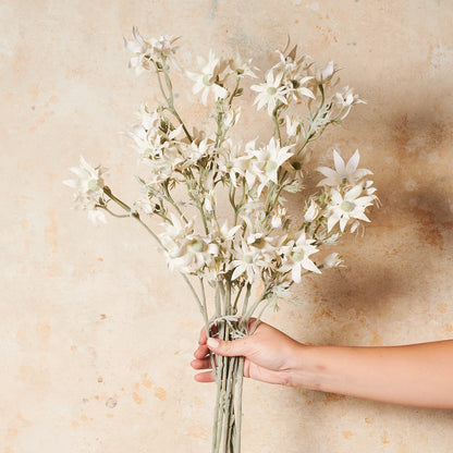 Flannel Flower Real Touch Flower Stem