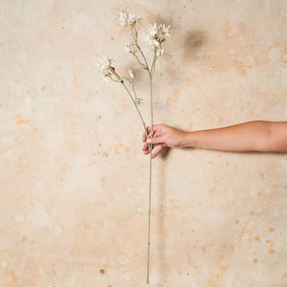 Flannel Flower Real Touch Flower Stem