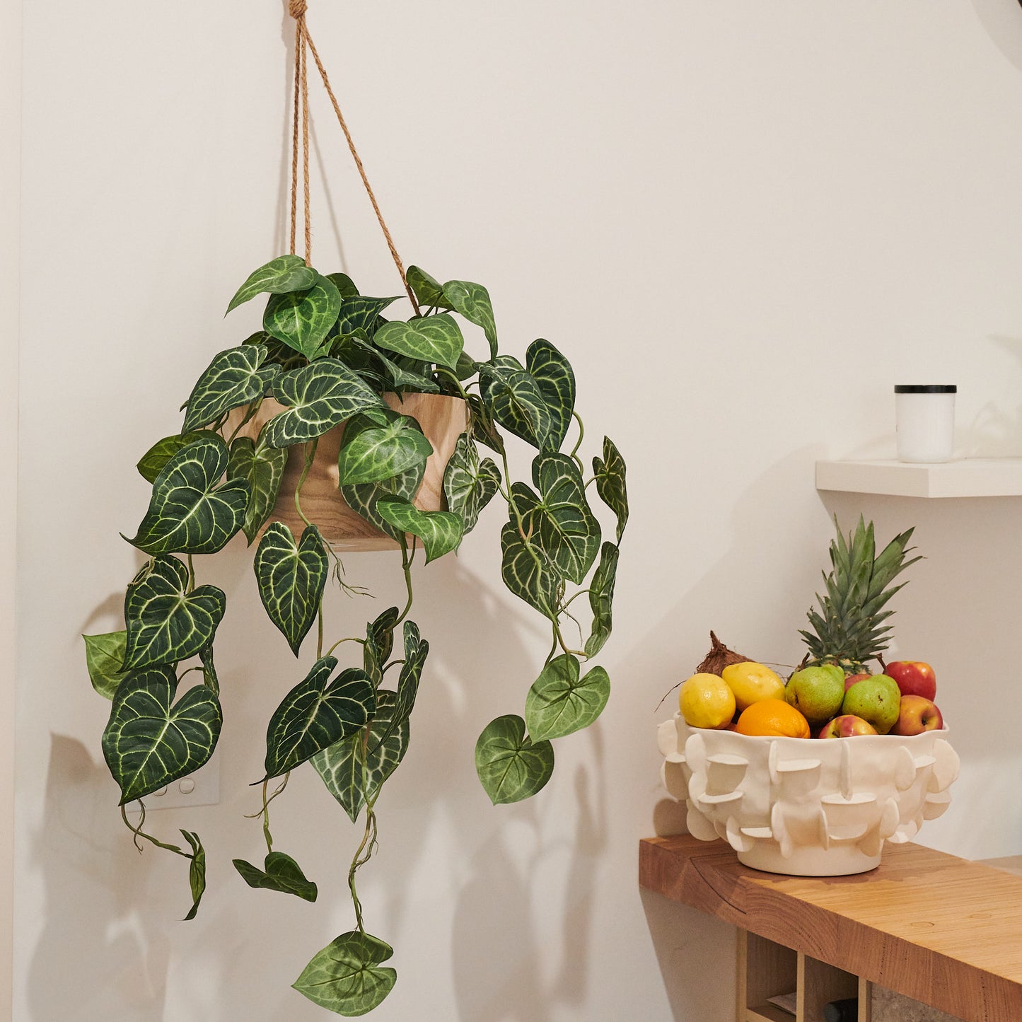 Oscar Anthurium Hanging Plant with Wood Hanging Pot